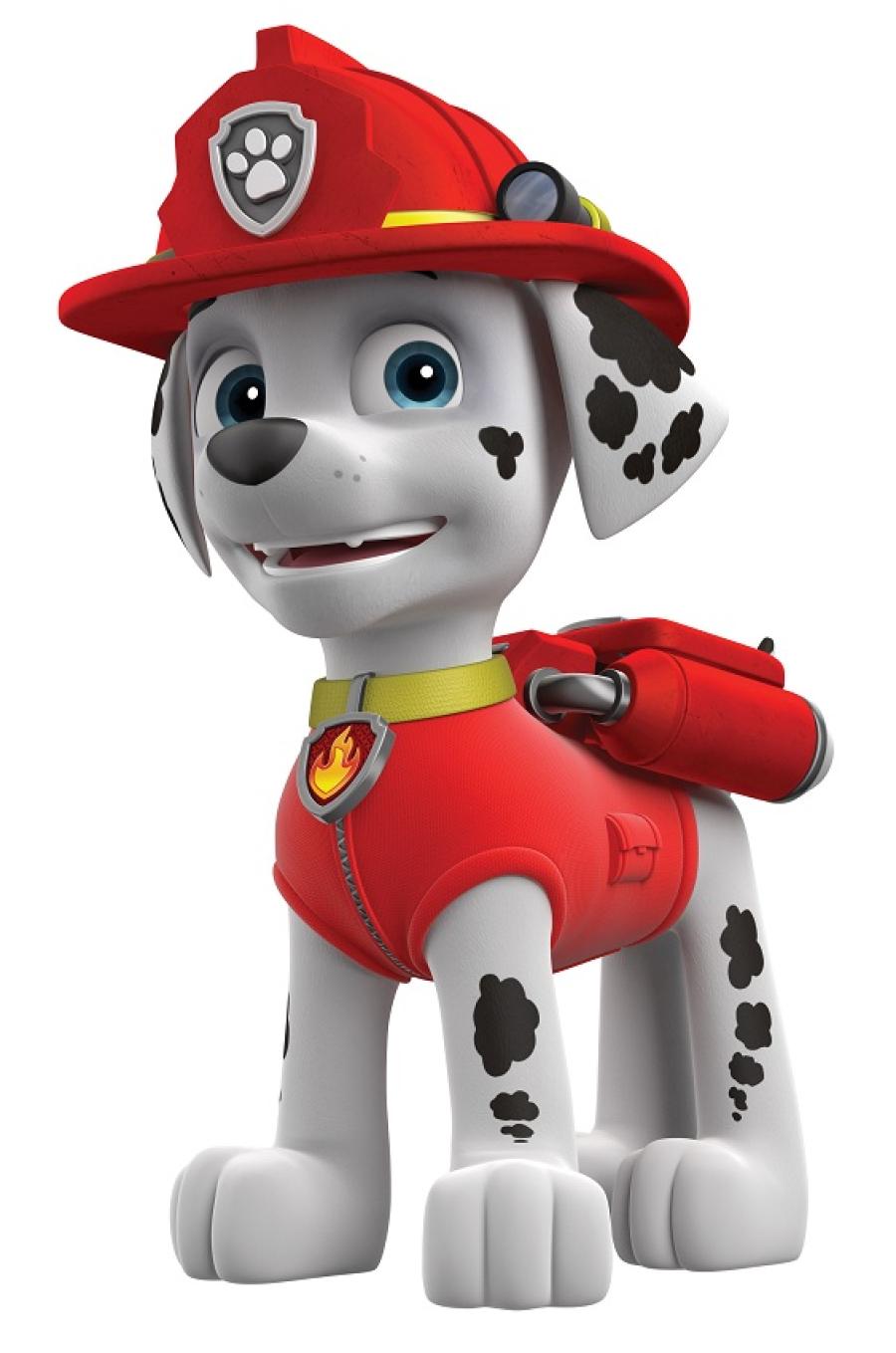 Cialda In Ostia Paw Patrol Cartoni Animati Decorazione Torta Dischi -   - Addobbi ed articoli per feste, eventi e party